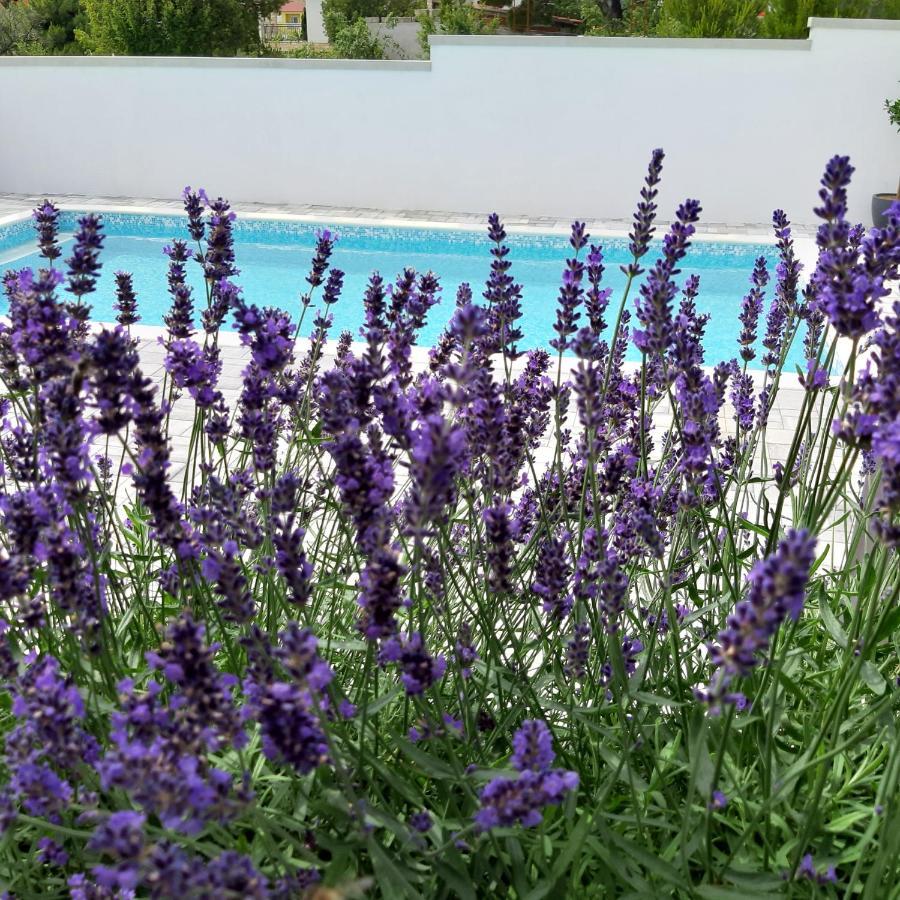 Villa Silver สตารีกราด-ปาเคลนีซา ภายนอก รูปภาพ